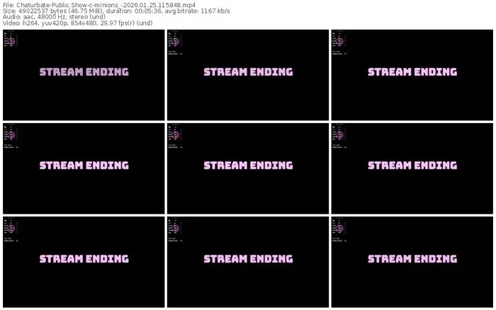 chaturbate-minions_-01-25-2026-11-58-48