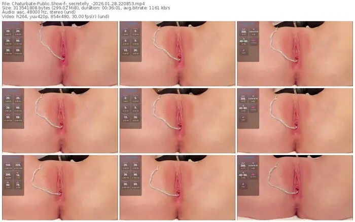 chaturbate-_secretelly_-01-28-2026-22-08-53