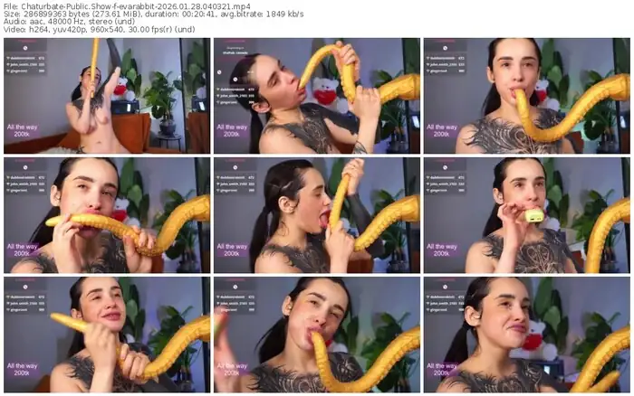 chaturbate-evarabbit-01-28-2026-04-03-21