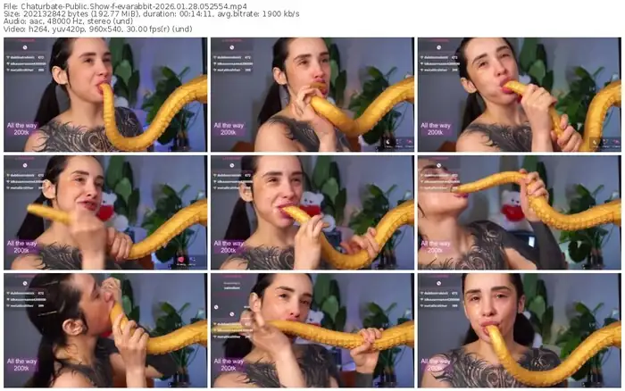 chaturbate-evarabbit-01-28-2026-05-25-54