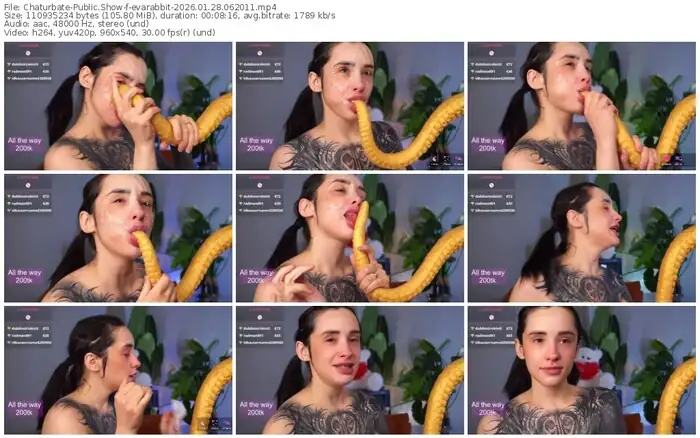 chaturbate-evarabbit-01-28-2026-06-20-11
