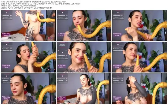 chaturbate-evarabbit-01-28-2026-08-07-13