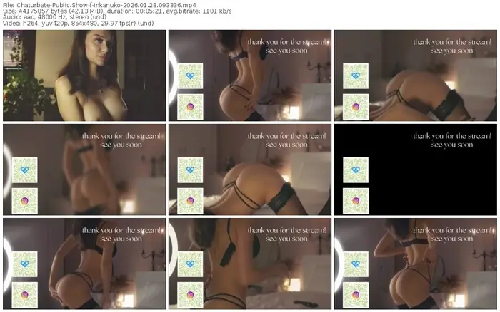 chaturbate-inkanuko-01-28-2026-09-33-36