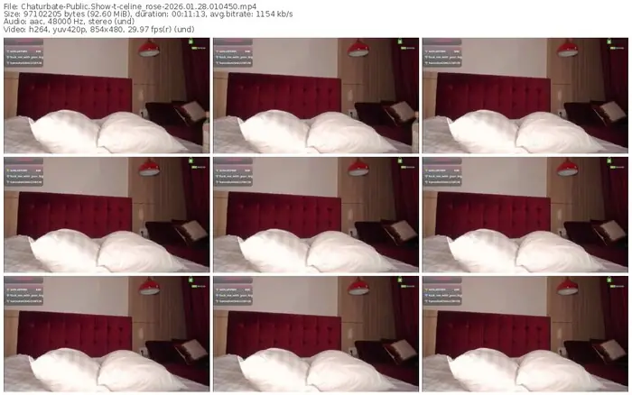 chaturbate-celine_rose-01-28-2026-01-04-50