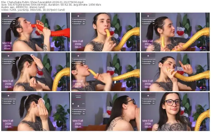 chaturbate-evarabbit-01-29-2026-07-56-30