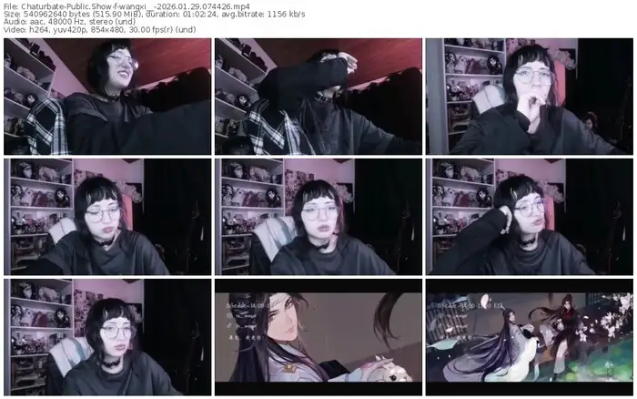 chaturbate-wangxi__-01-29-2026-07-44-26