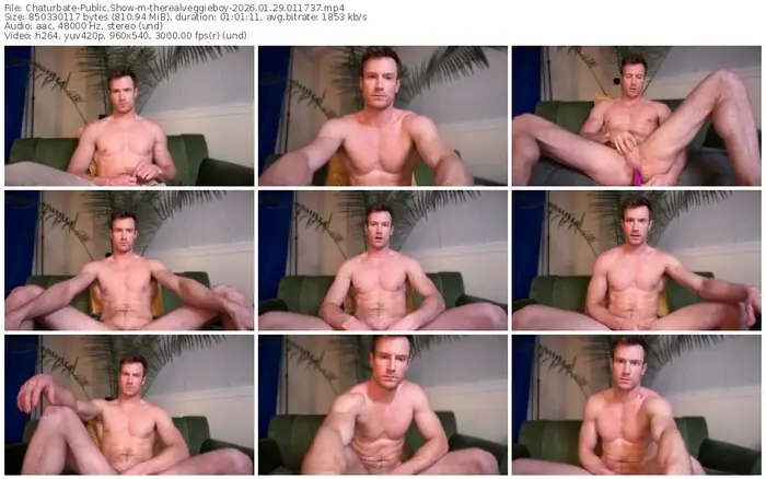 chaturbate-therealveggieboy-01-29-2026-01-17-37