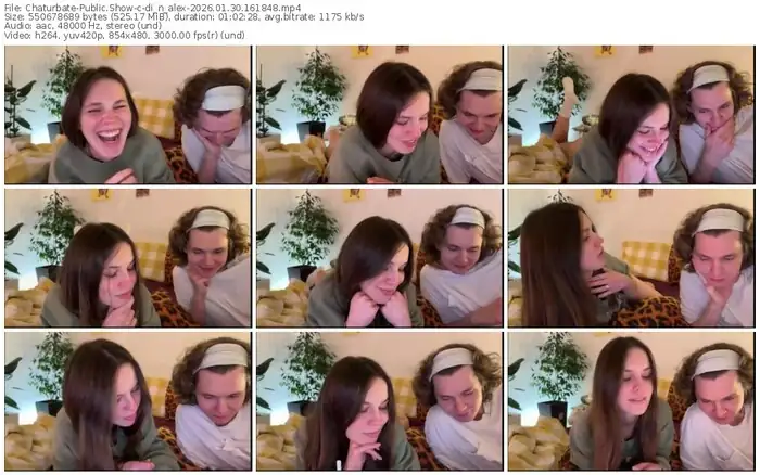 chaturbate-di_n_alex-01-30-2026-16-18-48