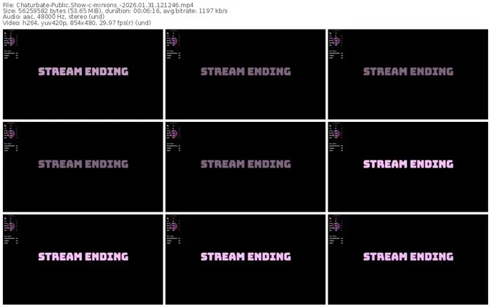 chaturbate-minions_-01-31-2026-12-12-46