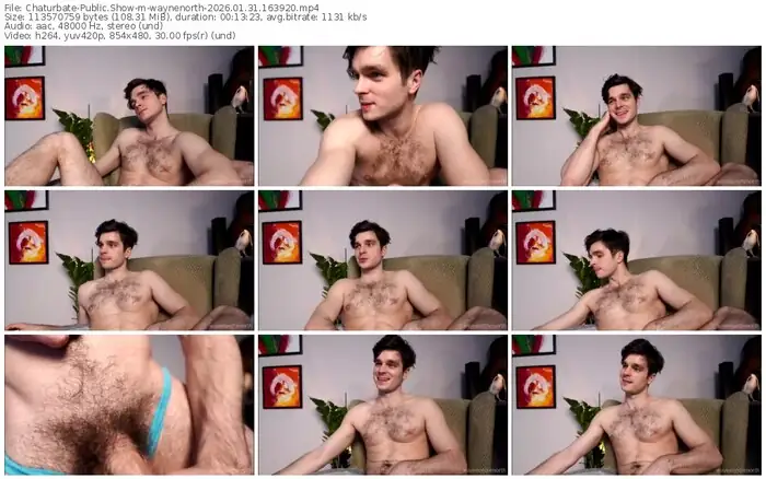 chaturbate-waynenorth-01-31-2026-16-39-20