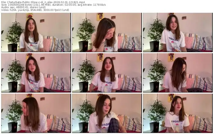 chaturbate-di_n_alex-02-01-2026-12-18-21