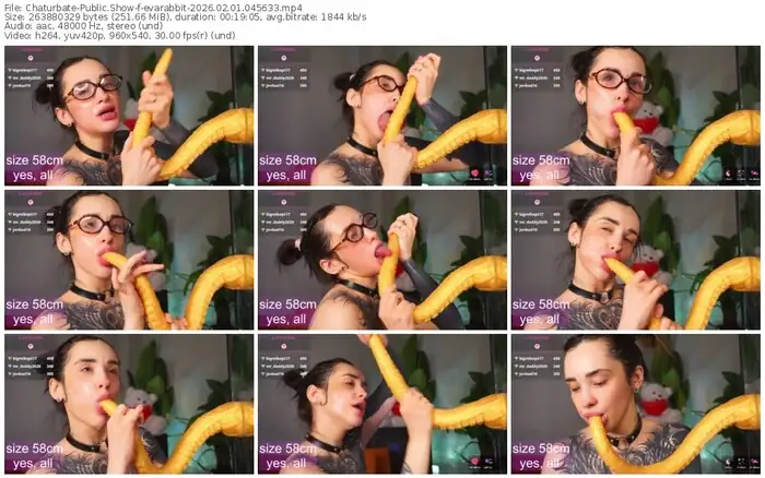 chaturbate-evarabbit-02-01-2026-04-56-33