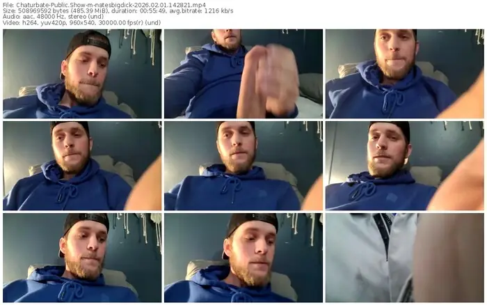 chaturbate-natesbigdick-02-01-2026-14-28-21