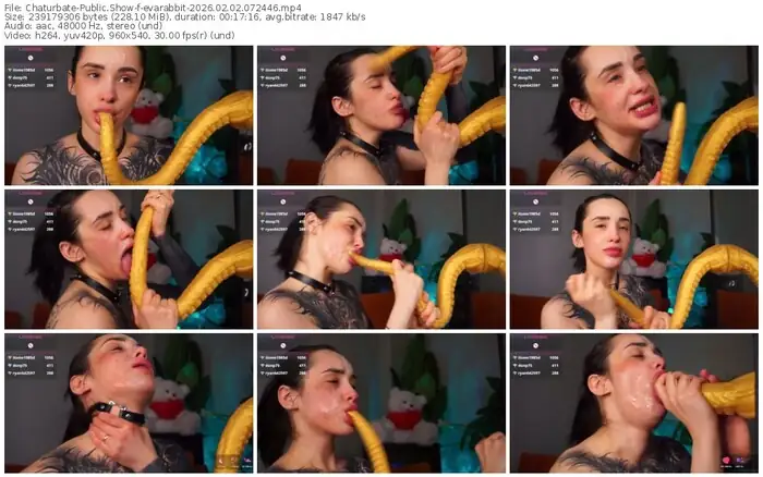 chaturbate-evarabbit-02-02-2026-07-24-46