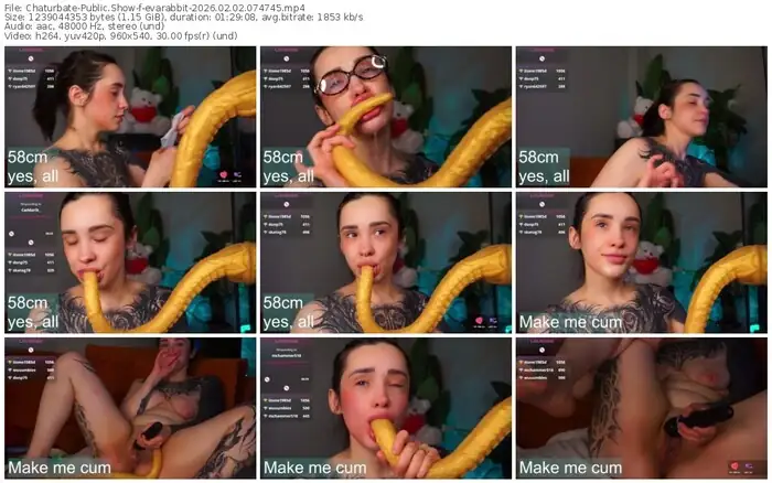 chaturbate-evarabbit-02-02-2026-07-47-45