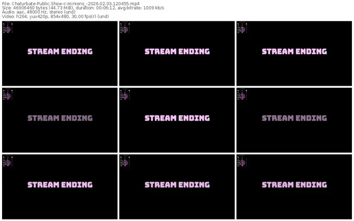 chaturbate-minions_-02-03-2026-12-04-55