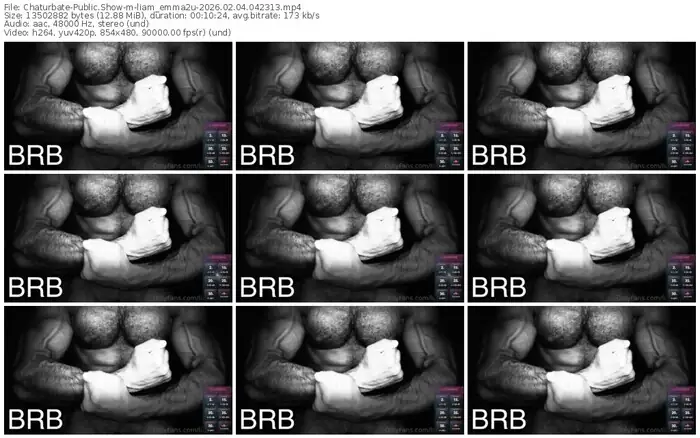 chaturbate-liam_emma2u-02-04-2026-04-23-13