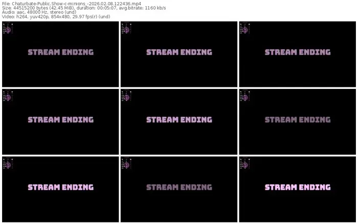 chaturbate-minions_-02-08-2026-12-24-36