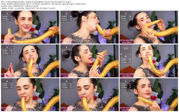 chaturbate-evarabbit-02-08-2026-04-22-31