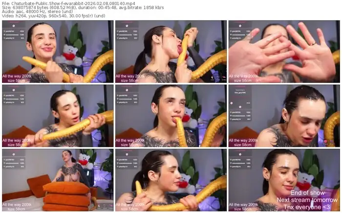 chaturbate-evarabbit-02-08-2026-08-01-40
