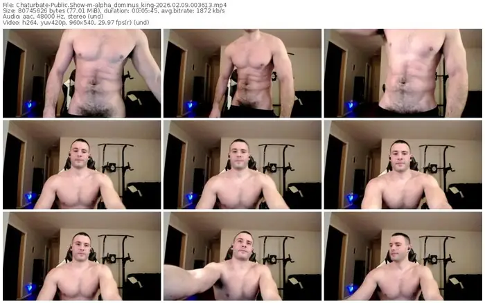 chaturbate-alpha_dominus_king-02-09-2026-00-36-13