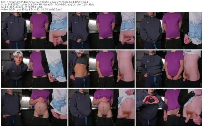 chaturbate-esthetics_boys-02-09-2026-13-25-05