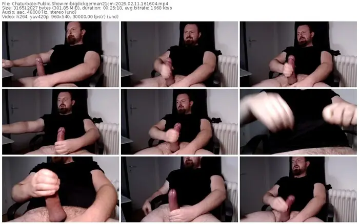 chaturbate-bigdickgerman21cm-02-11-2026-16-16-04