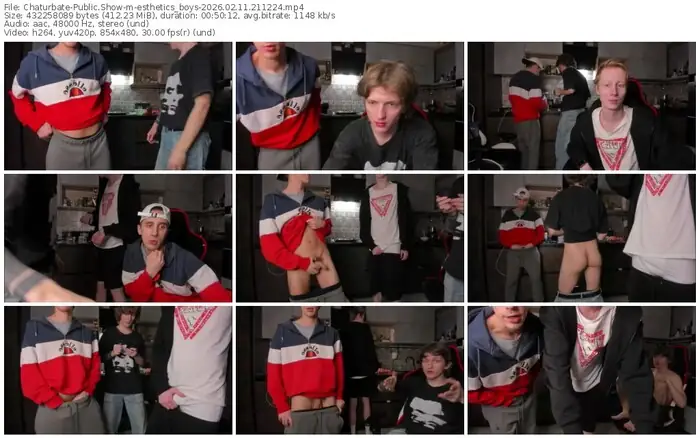 chaturbate-esthetics_boys-02-11-2026-21-12-24