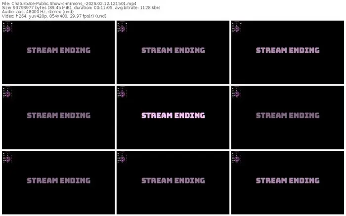 chaturbate-minions_-02-12-2026-12-15-01