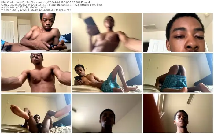 chaturbate-brick280446-02-12-2026-19-01-45