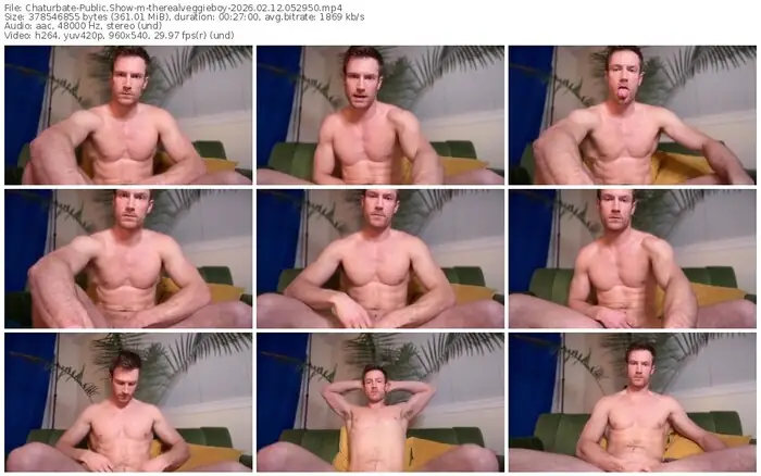 chaturbate-therealveggieboy-02-12-2026-05-29-50