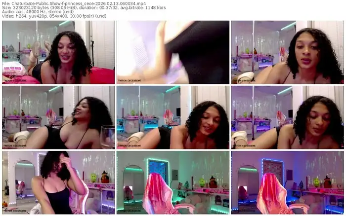 chaturbate-princess_cece-02-13-2026-06-00-34
