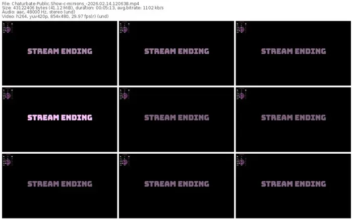 chaturbate-minions_-02-14-2026-12-06-38