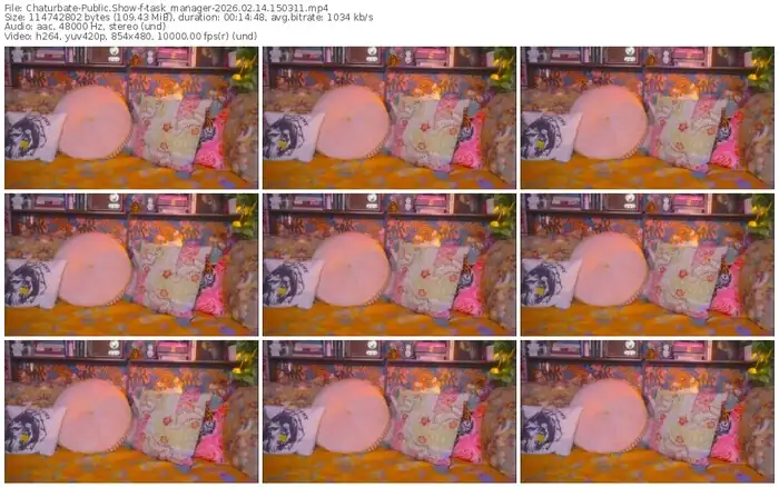 chaturbate-task_manager-02-14-2026-15-03-11