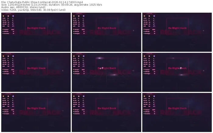 chaturbate-sn0wcat-02-14-2026-17-40-03