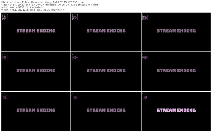 chaturbate-minions_-02-15-2026-12-06-55