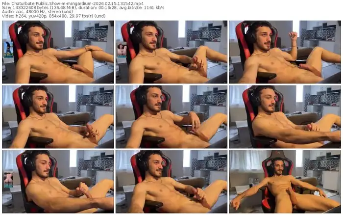 chaturbate-mingardium-02-15-2026-13-15-42