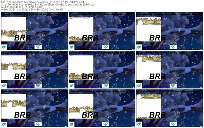 chaturbate-wapos__25-02-15-2026-19-43-09