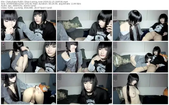 chaturbate-arina_rose-02-15-2026-20-45-30