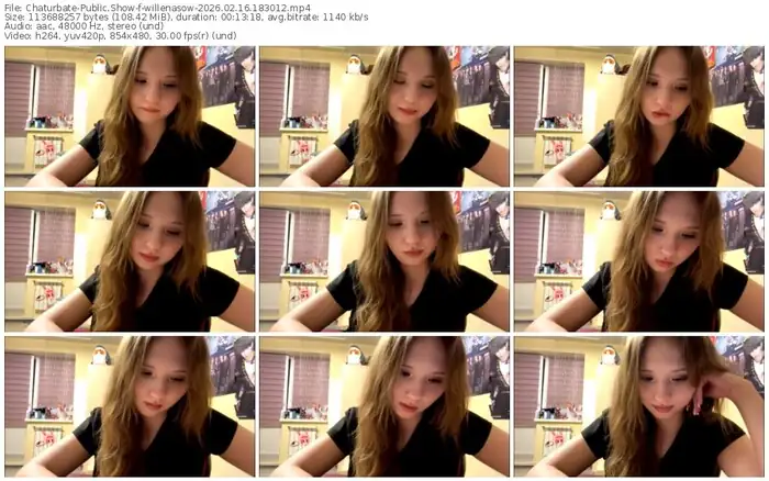 chaturbate-willenasow-02-16-2026-18-30-12