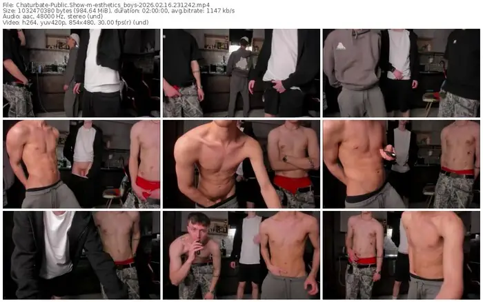 chaturbate-esthetics_boys-02-16-2026-23-12-42