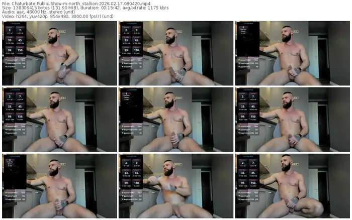chaturbate-north_stallion-02-17-2026-08-04-20
