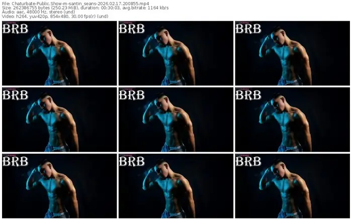 chaturbate-santin_seans-02-17-2026-20-08-55