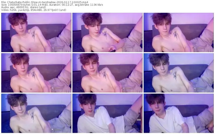 chaturbate-twishadow-02-17-2026-10-00-25