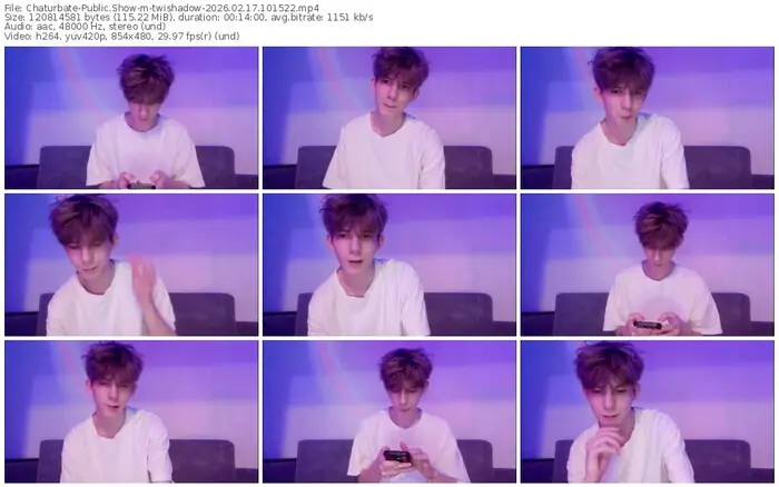 chaturbate-twishadow-02-17-2026-10-15-22