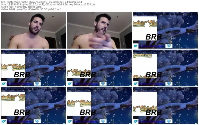 chaturbate-wapos__25-02-17-2026-19-20-06