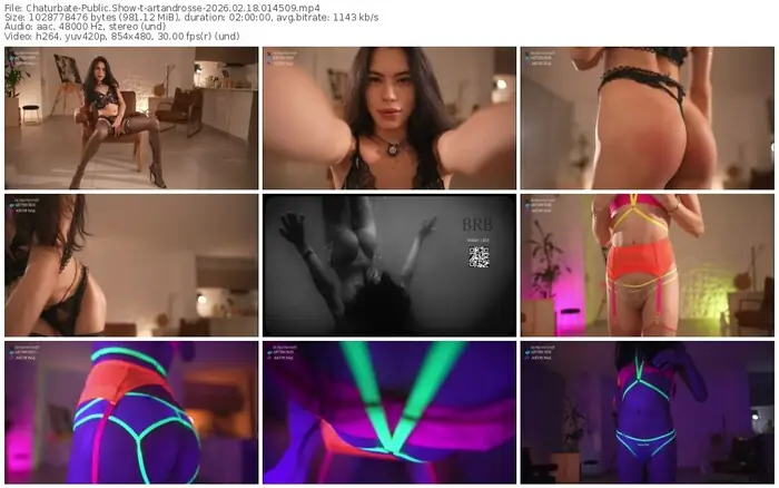 chaturbate-artandrosse-02-18-2026-01-45-09