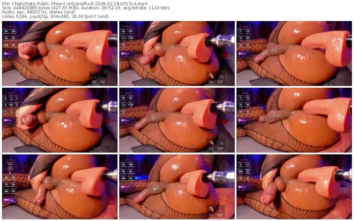 chaturbate-onlyanalfuck-02-18-2026-00-13-14