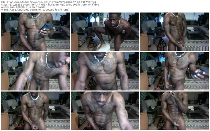 chaturbate-black_mamba2969-02-20-2026-23-17-33
