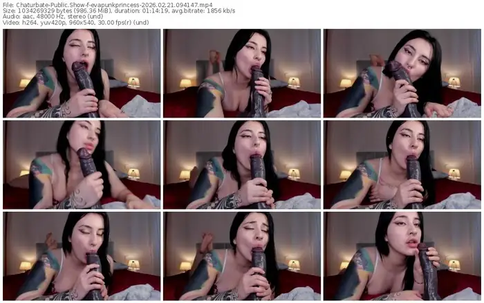 chaturbate-evapunkprincess-02-21-2026-09-41-47